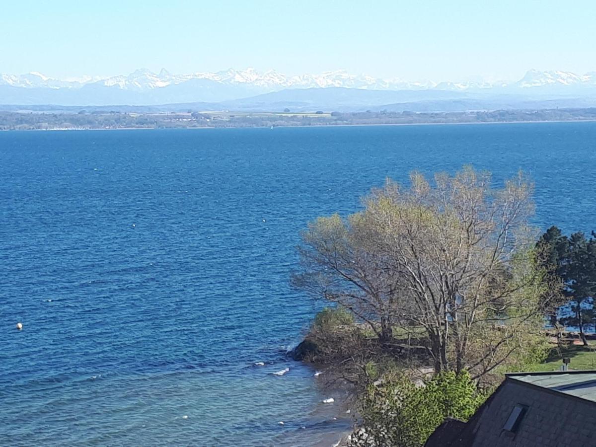 La Crique De L'Evole Apartment Neuchatel Bagian luar foto